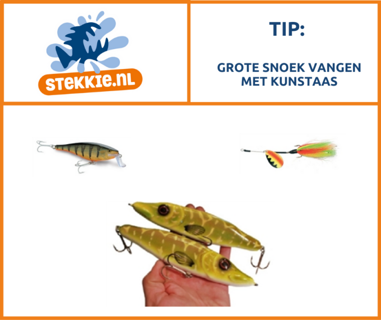 Grote snoek vangen met kunstaas