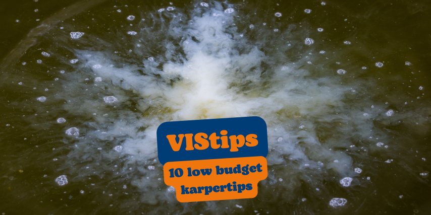 10 low budget karpertips