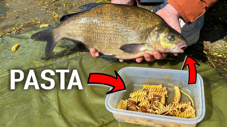 vissen met etensrestjes
