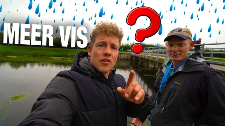 Video: vang je meer vissen in de regen?