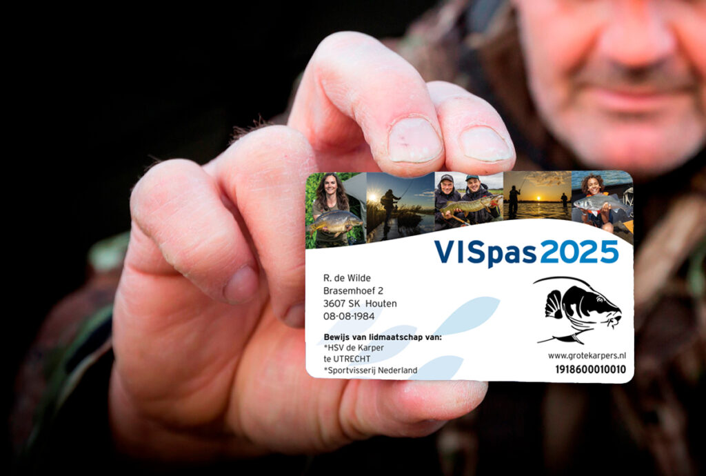 VISpas 2025