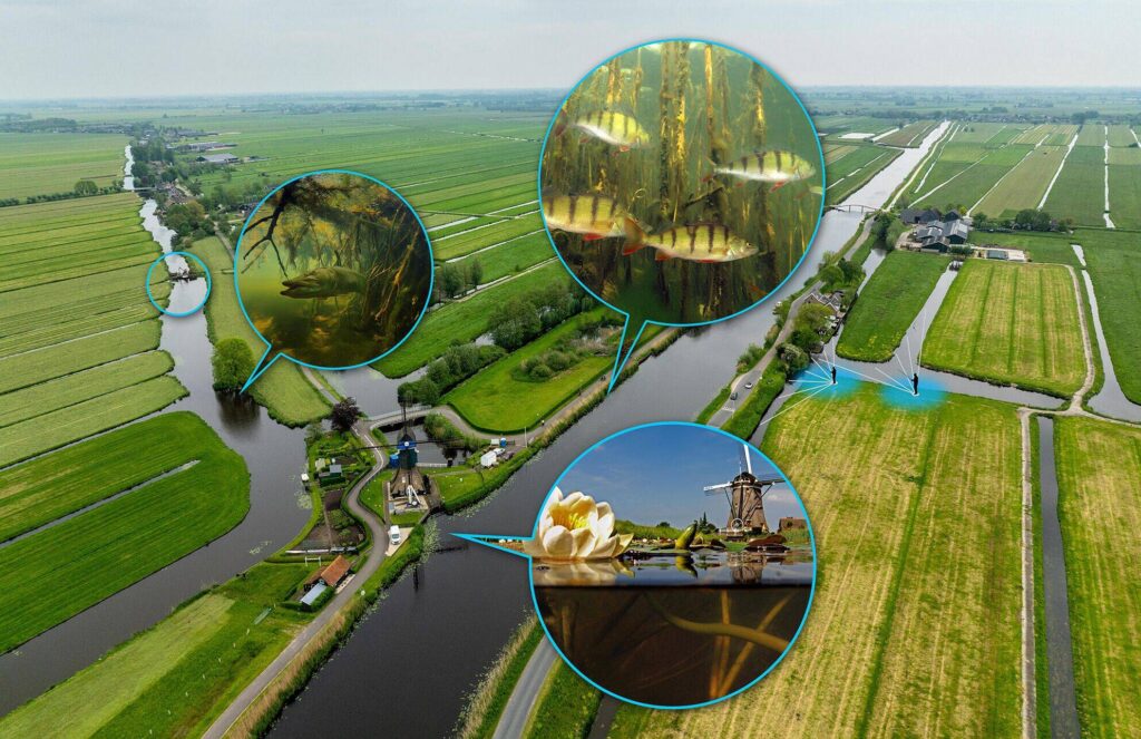 Tips voor roofvissen per watertype 2 polder