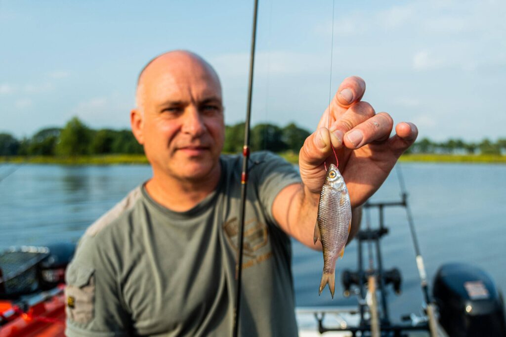 Snoekbaars tips
