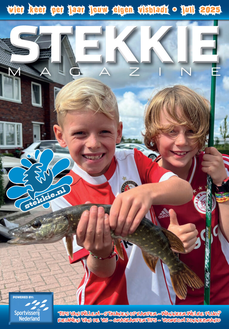 Cover Stekkie juli